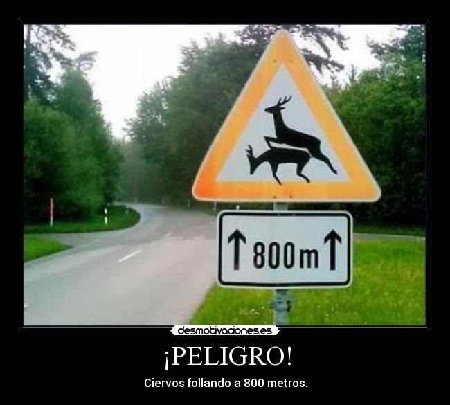 ¡PELIGRO! - 