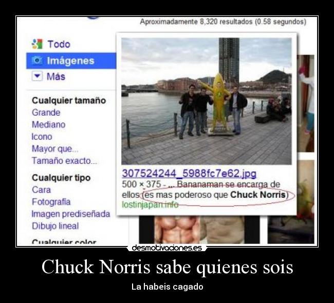 carteles norris desmotivaciones