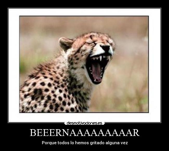 BEEERNAAAAAAAAAR - 