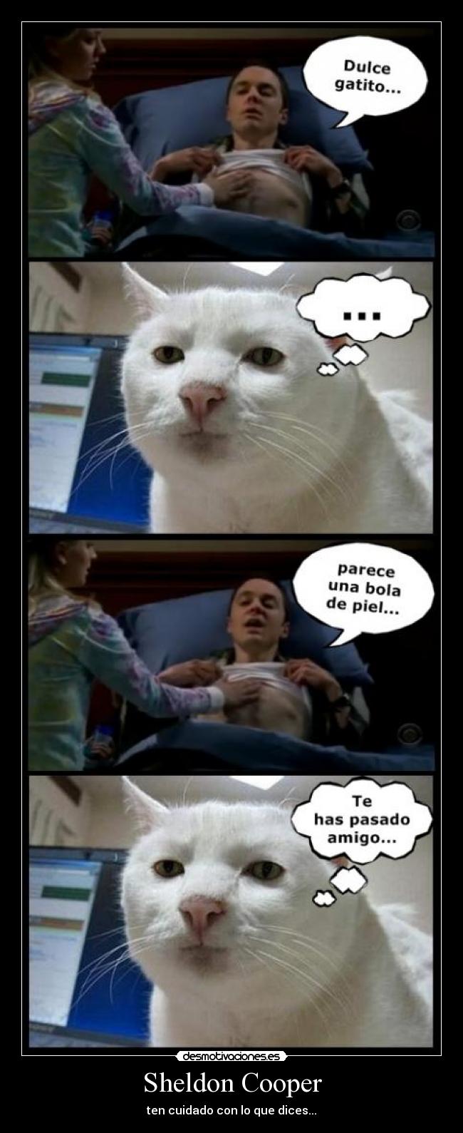 carteles sheldon dulce gatito piel canta desmotivaciones