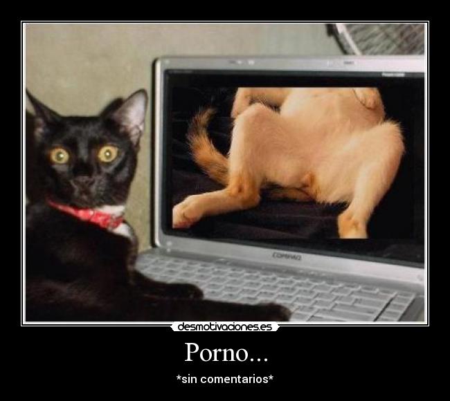 Porno... - *sin comentarios*