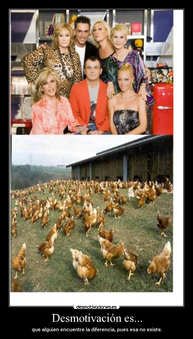 carteles descmotivacion desmotivaciones