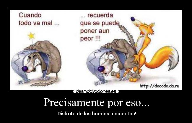 Precisamente por eso... - ¡Disfruta de los buenos momentos!