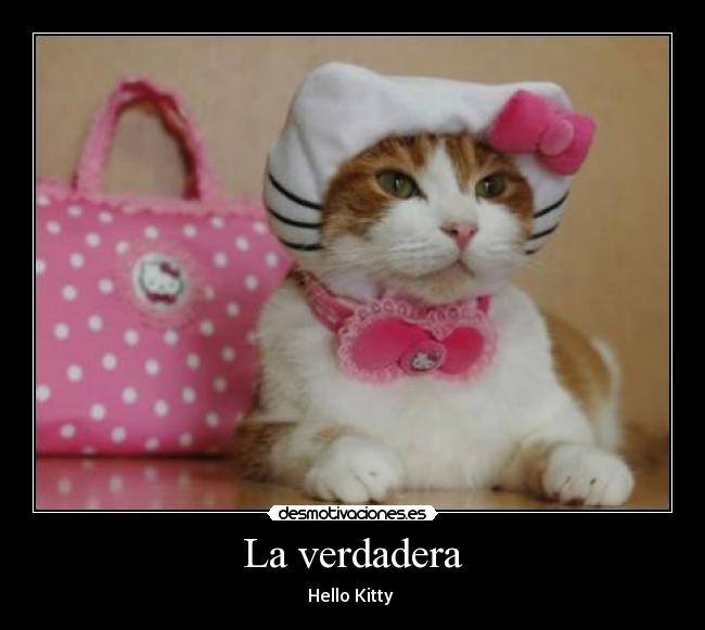 La verdadera - Hello Kitty