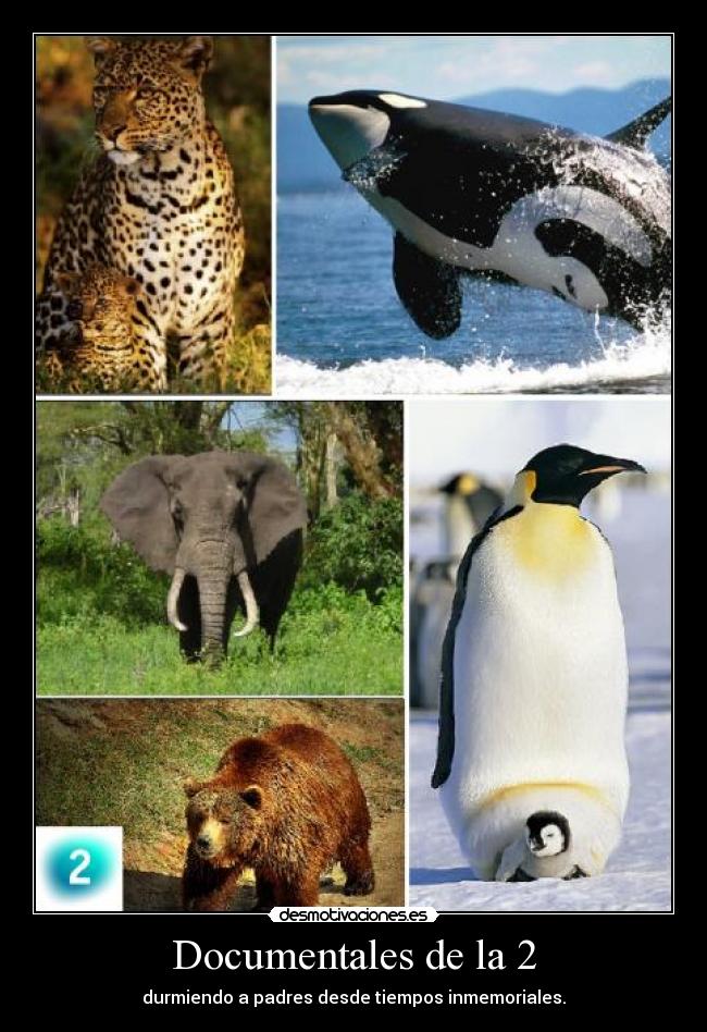 Documentales de la 2 -