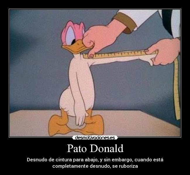 Pato Donald - Desnudo de cintura para abajo, y sin embargo, cuando está
completamente desnudo, se ruboriza