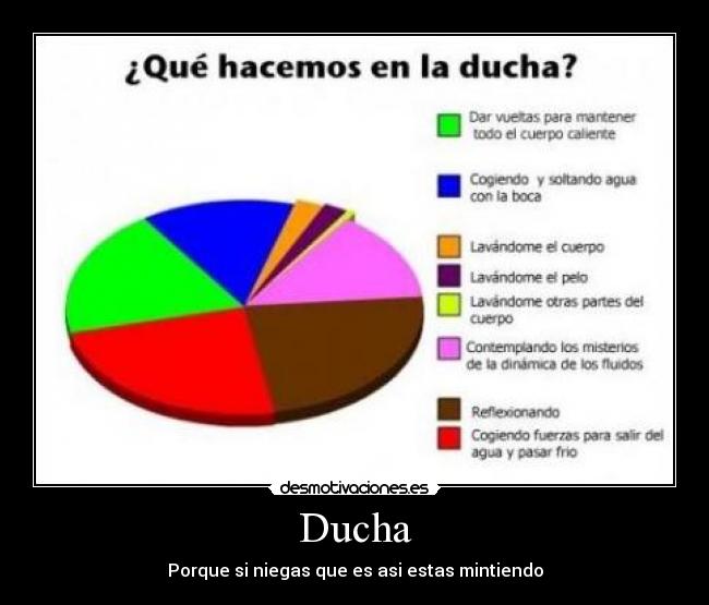 Ducha - 