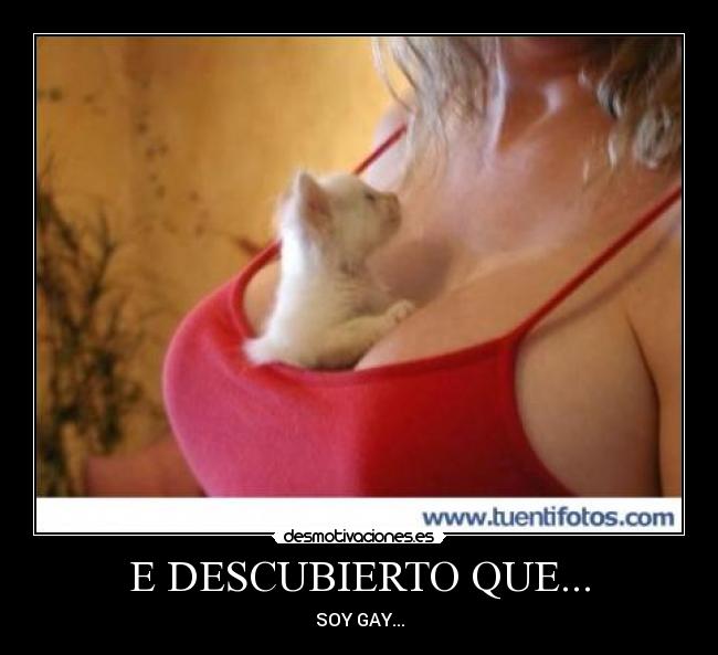 E DESCUBIERTO QUE... -