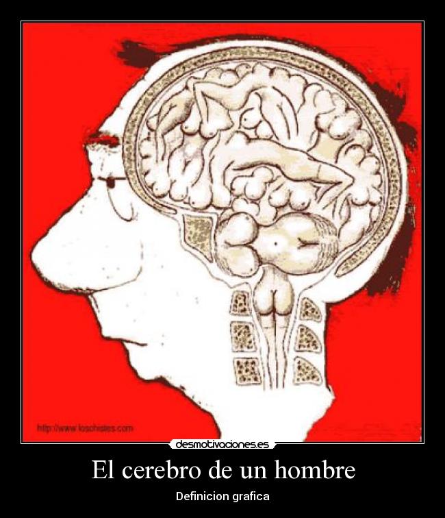 El cerebro de un hombre - 