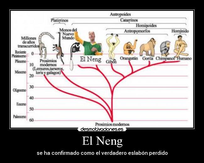 El Neng - 