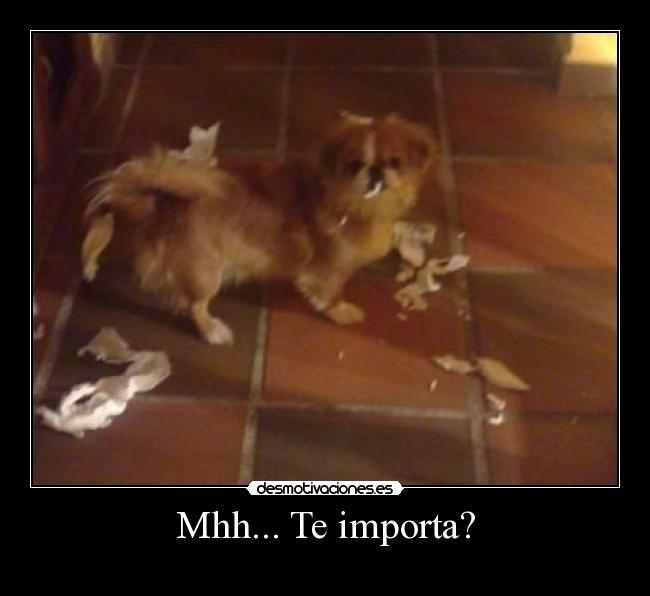 Mhh... Te importa? -