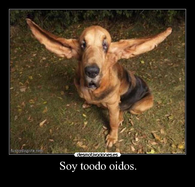 Soy toodo oidos. -