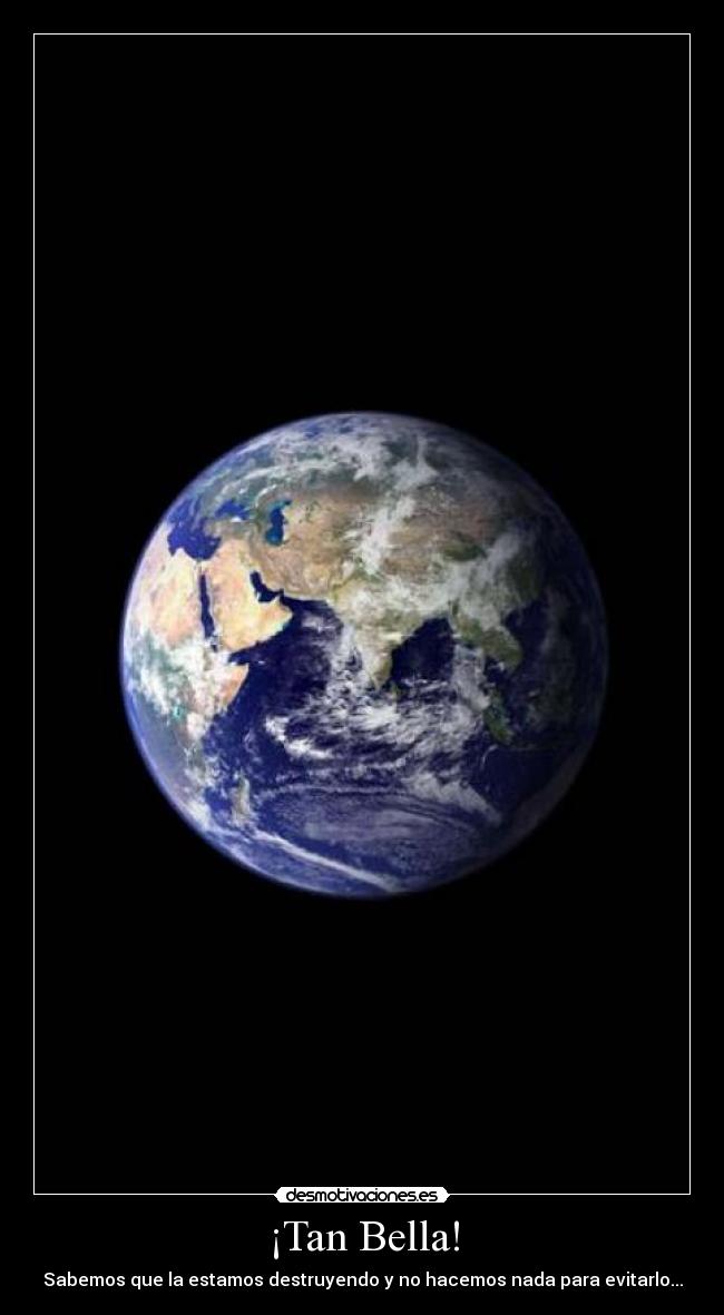 ¡Tan Bella! -