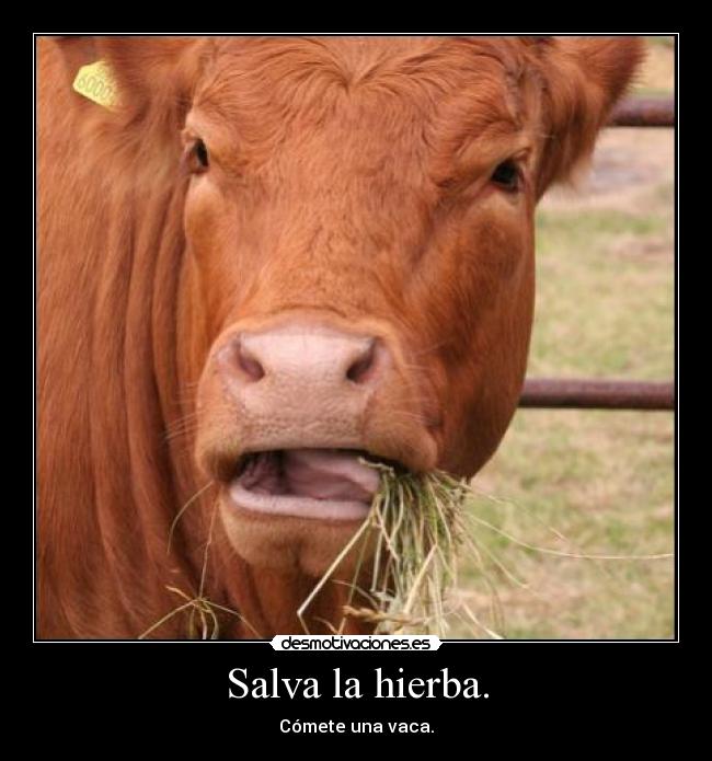 Salva la hierba. - 