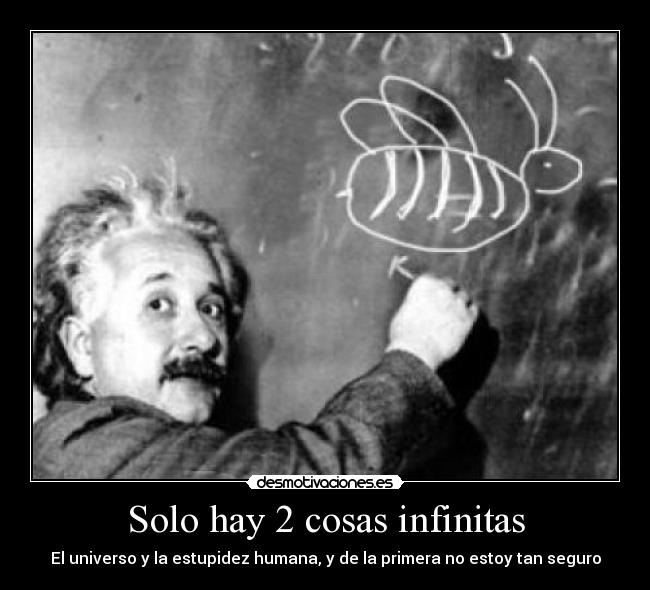 Solo hay 2 cosas infinitas - El universo y la estupidez humana, y de la primera no estoy tan seguro