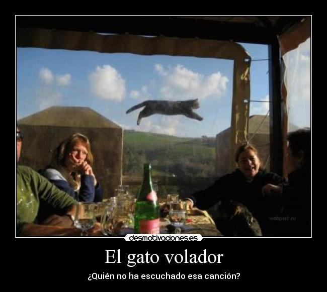 El gato volador - 