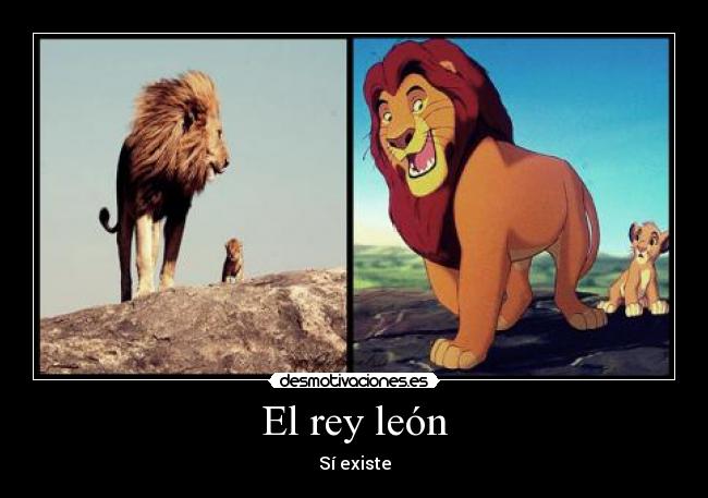 El rey león - 