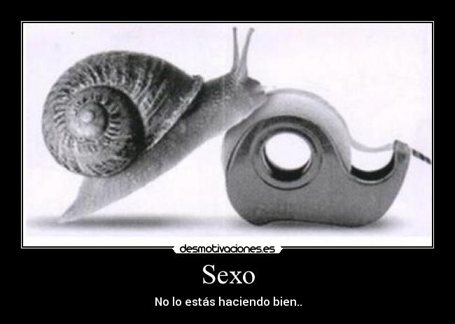 Sexo -