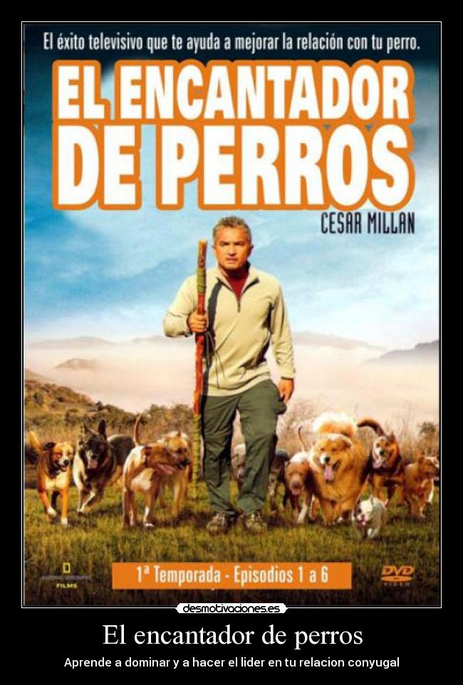 El encantador de perros - 