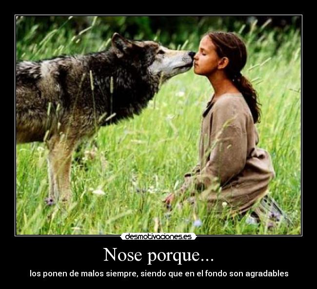 Nose porque... - 