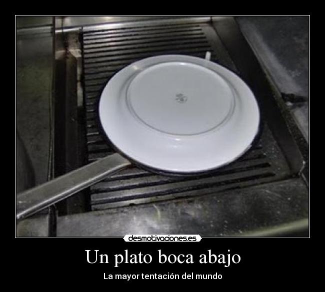 Un plato boca abajo - 