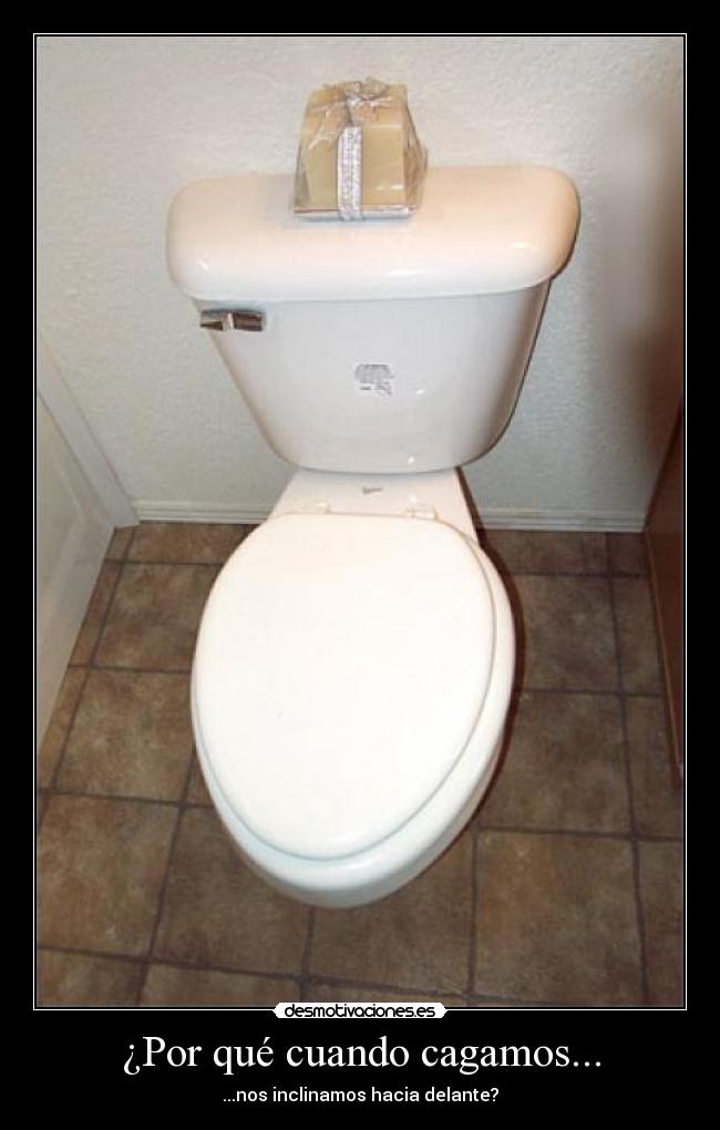 ¿Por qué cuando cagamos... - 