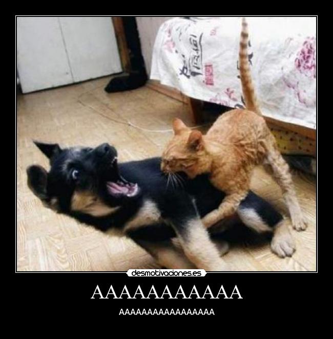 AAAAAAAAAAA - AAAAAAAAAAAAAAAAA