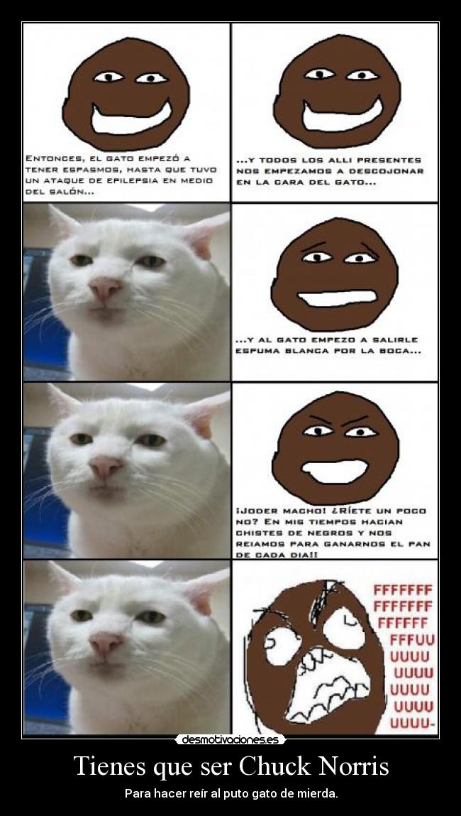 Tienes que ser Chuck Norris - Para hacer reír al puto gato de mierda.
