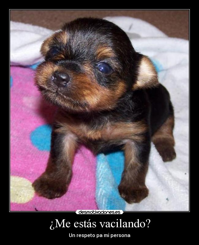 ¿Me estás vacilando? - Un respeto pa mi persona