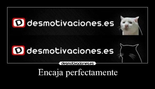 Encaja perfectamente -