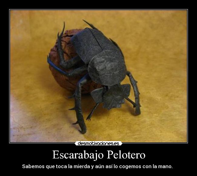 Escarabajo Pelotero -