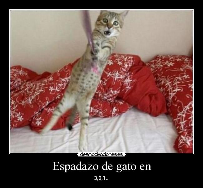 carteles wwwdesmotivacioneses desmotivaciones