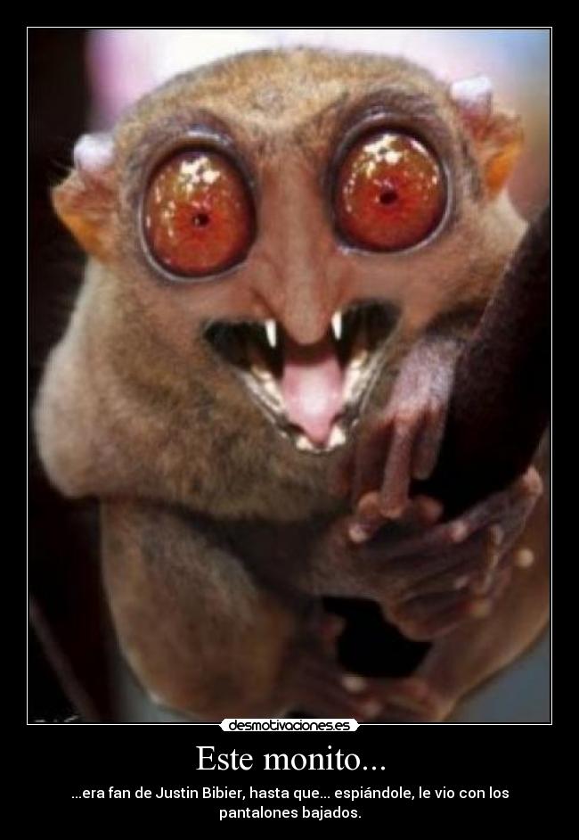 Este monito... - ...era fan de Justin Bibier, hasta que... espiándole, le vio con los pantalones bajados.