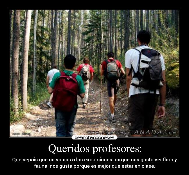 Queridos profesores: -