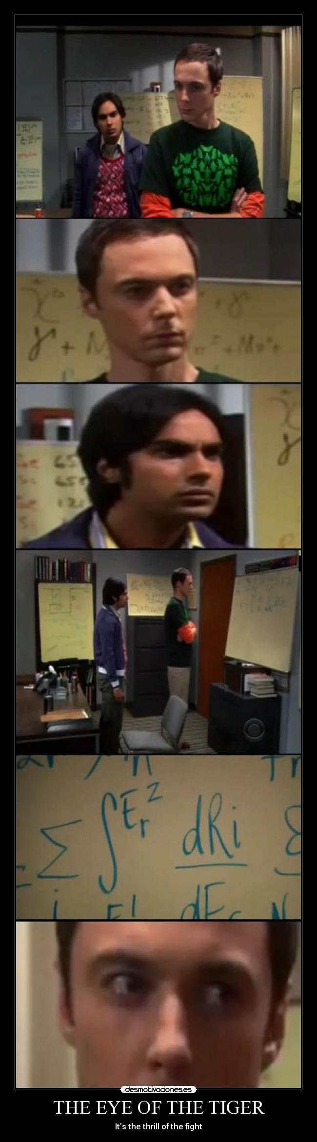 THE EYE OF THE TIGER - Its the thrill of the fight