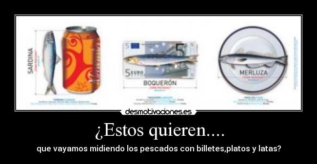 ¿Estos quieren.... - que vayamos midiendo los pescados con billetes,platos y latas?