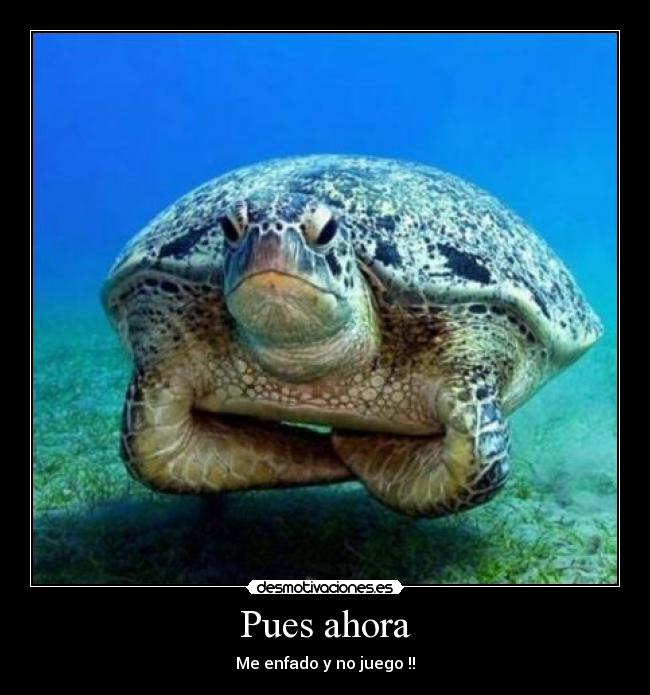 carteles pues ahora enfado juego tortuga desmotivada desmotivaciones