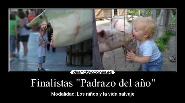 Finalistas Padrazo del año -