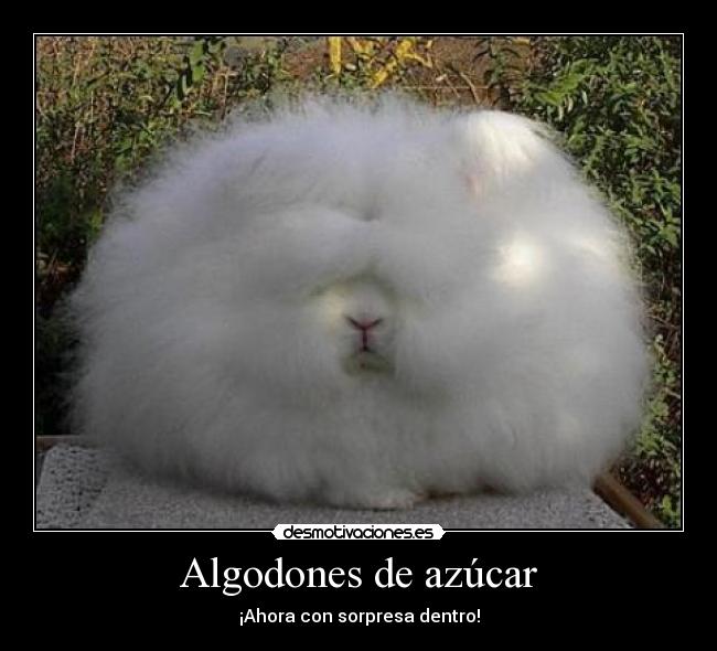 Algodones de azúcar - ¡Ahora con sorpresa dentro!