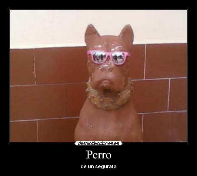 Perro - 