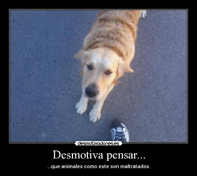 Desmotiva pensar... - 