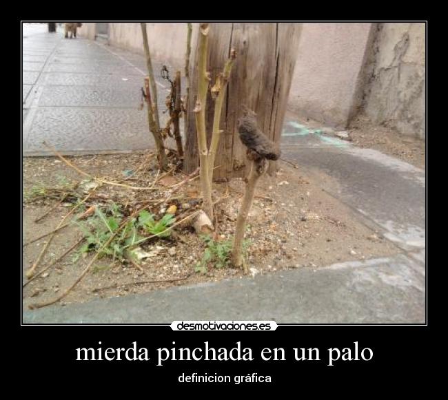 mierda pinchada en un palo - 