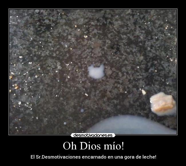Oh Dios mío! - El Sr.Desmotivaciones encarnado en una gora de leche!