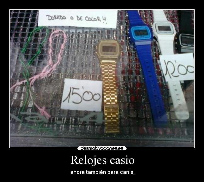 Relojes casio -