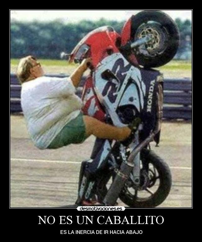 NO ES UN CABALLITO - 