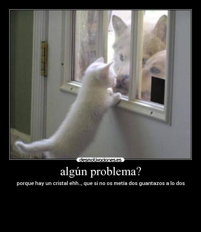 algún problema? - 