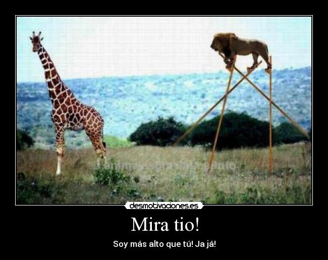 Mira tio! - 