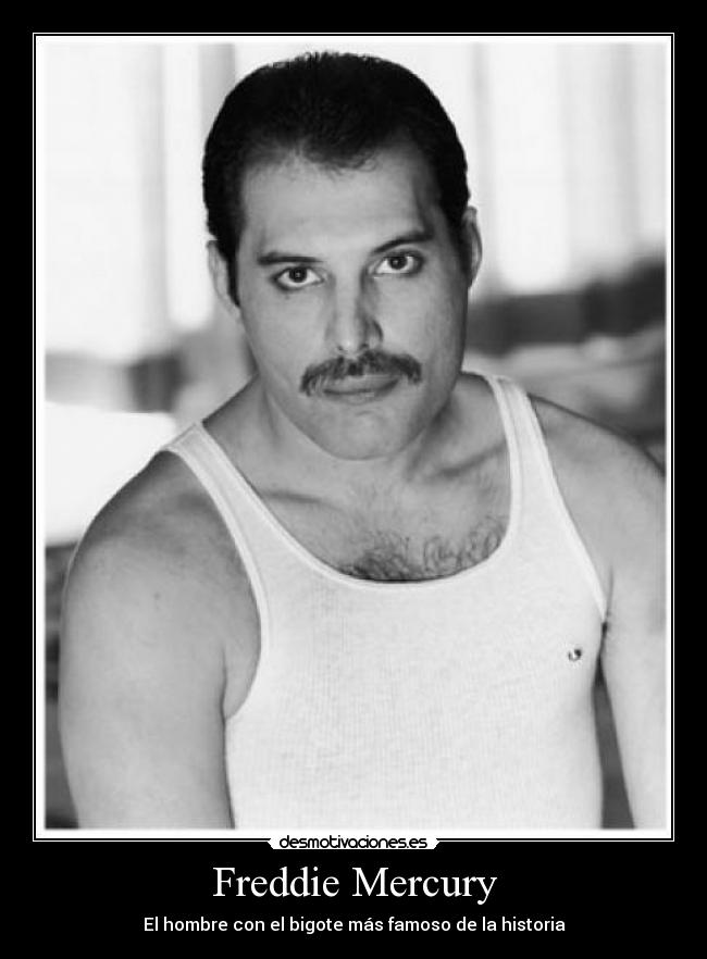 Freddie Mercury - El hombre con el bigote más famoso de la historia