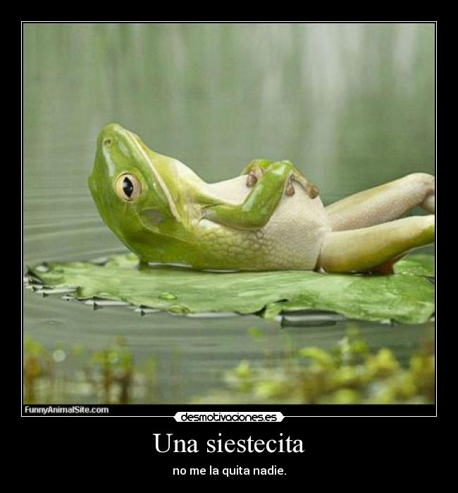 Una siestecita - no me la quita nadie.