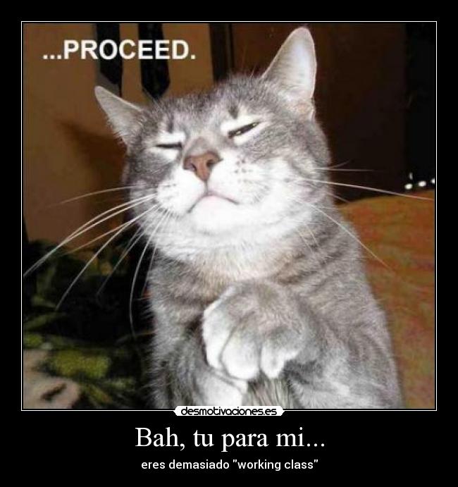 Bah, tu para mi... - eres demasiado working class